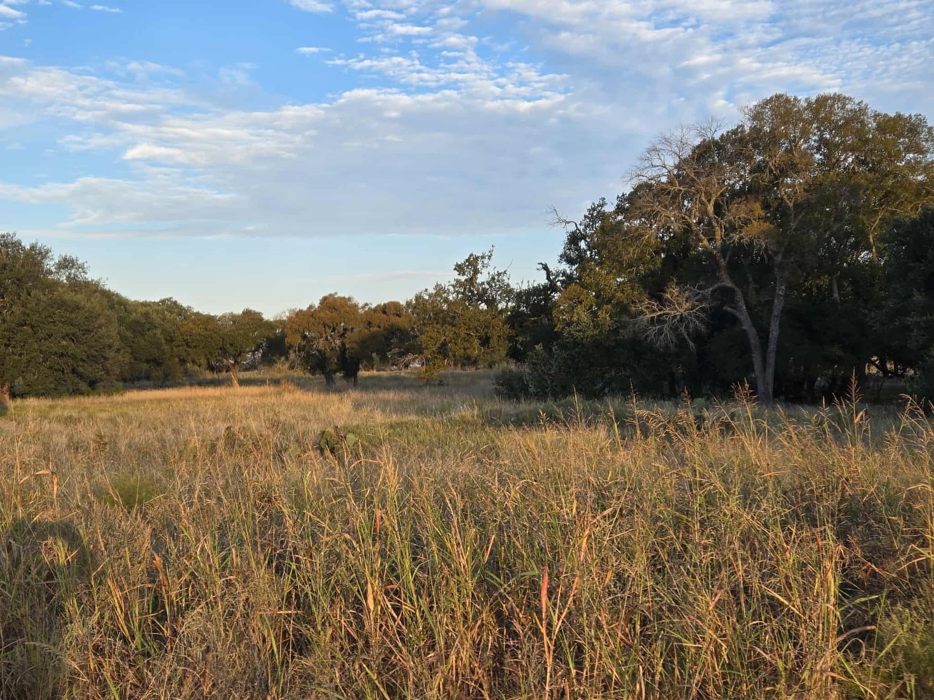 7.38 acres in Coryell County - photo 9