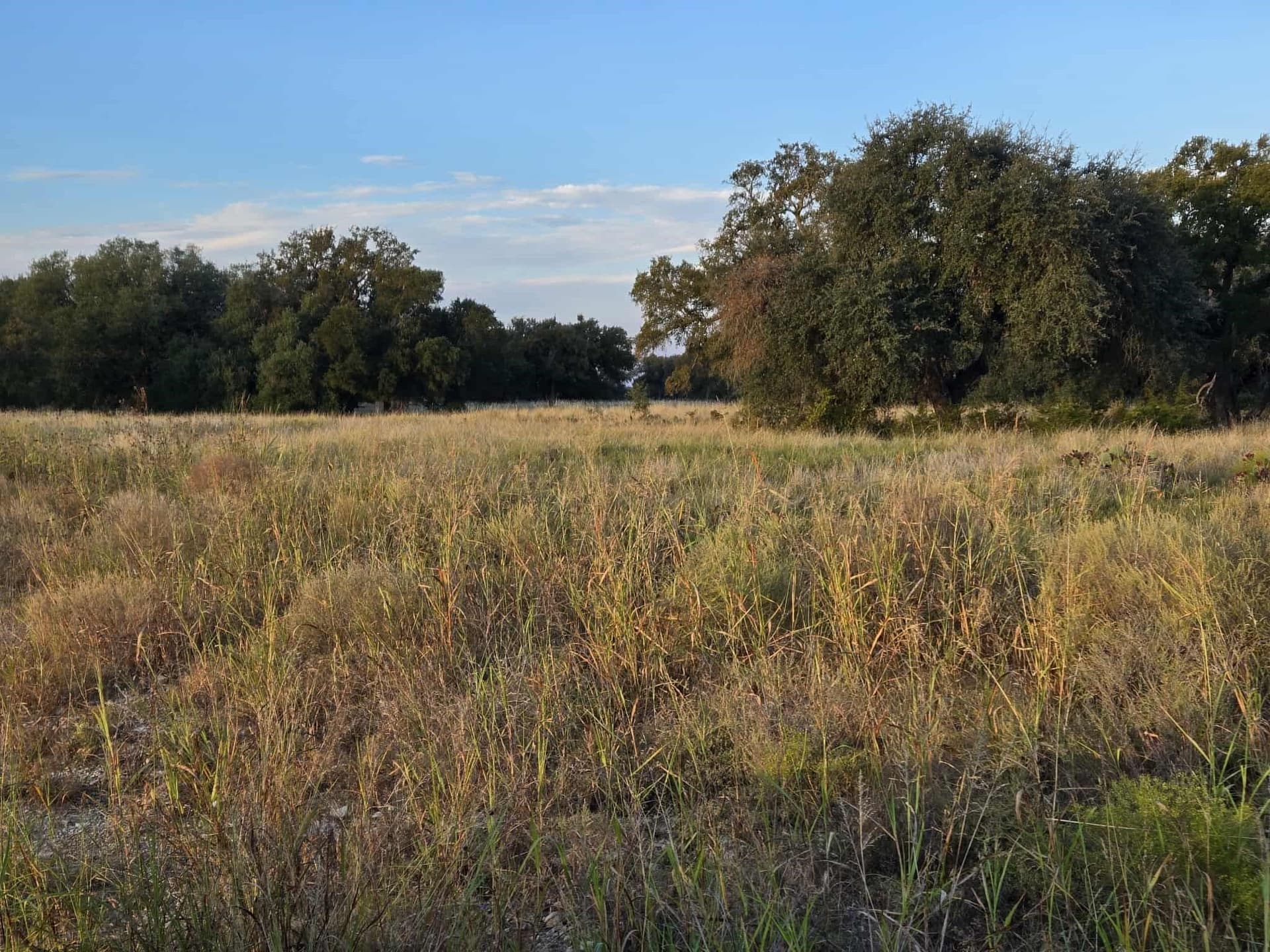 7.38 acres in Coryell County - photo 7