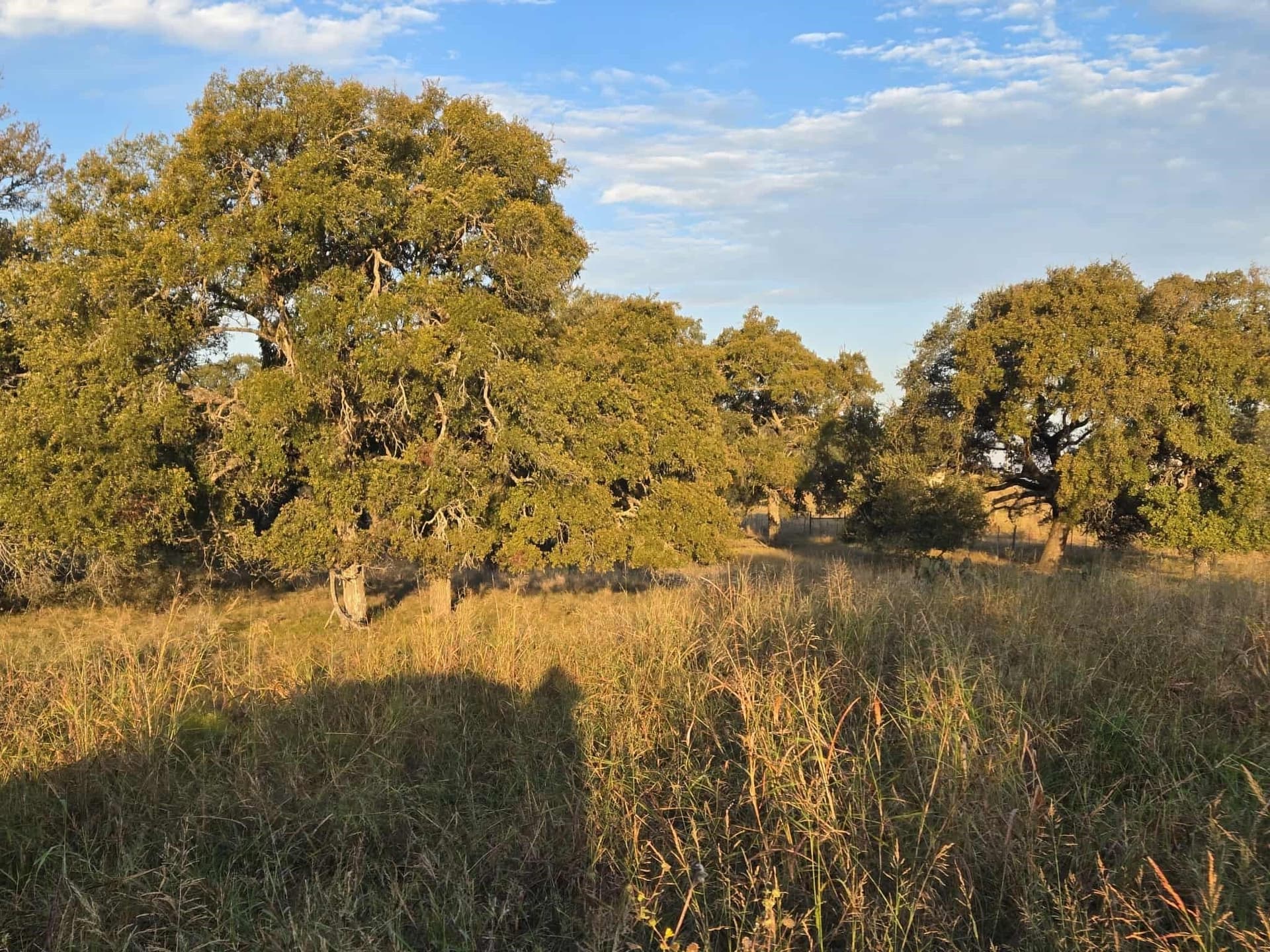 7.38 acres in Coryell County - photo 8