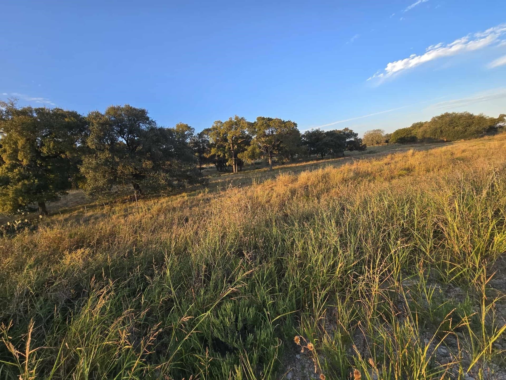 7.38 acres in Coryell County - photo 13