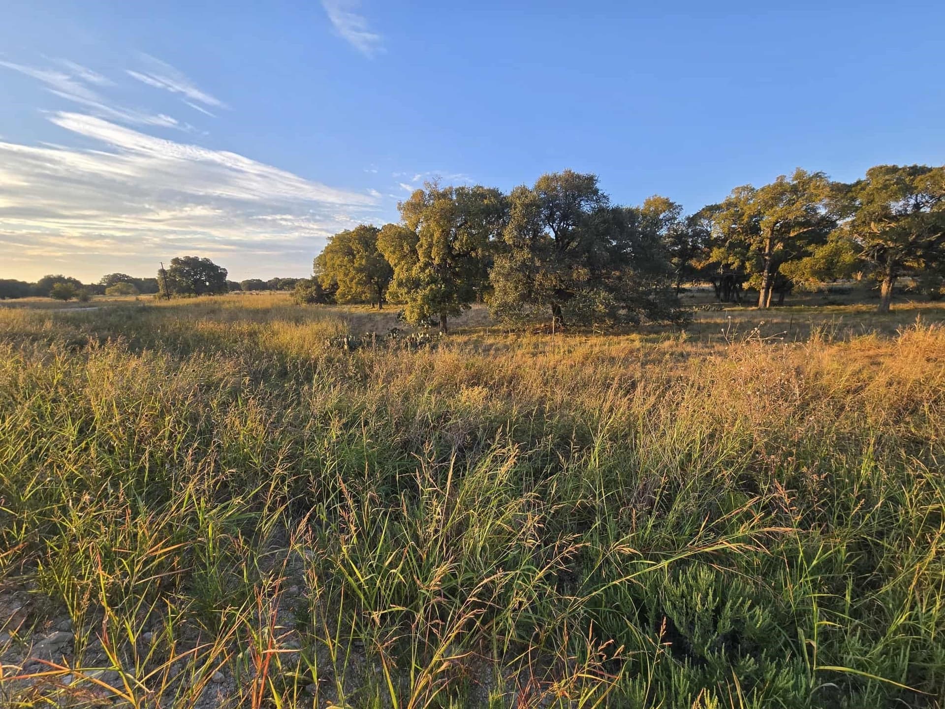 7.38 acres in Coryell County - photo 2