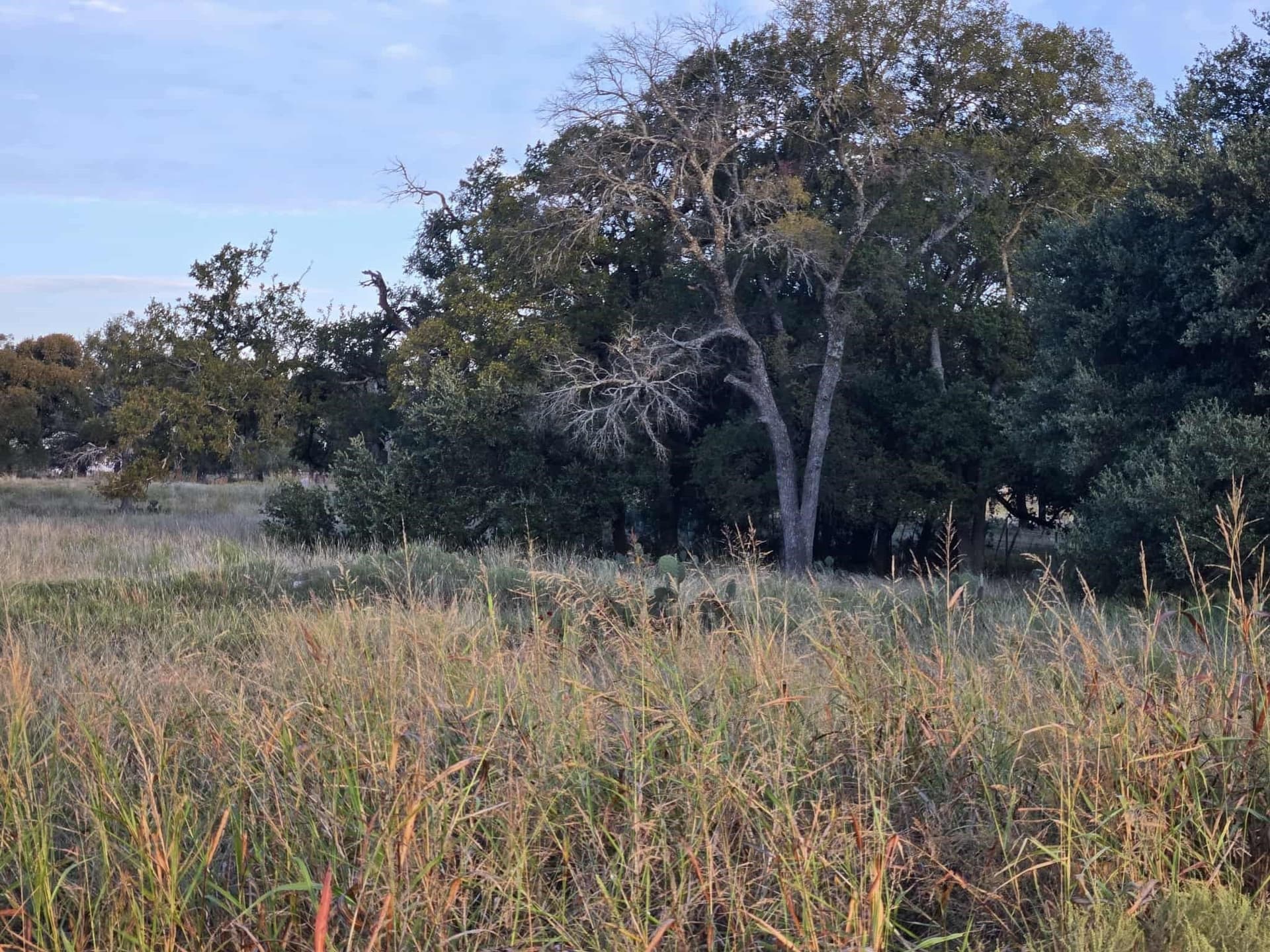 7.38 acres in Coryell County - photo 11