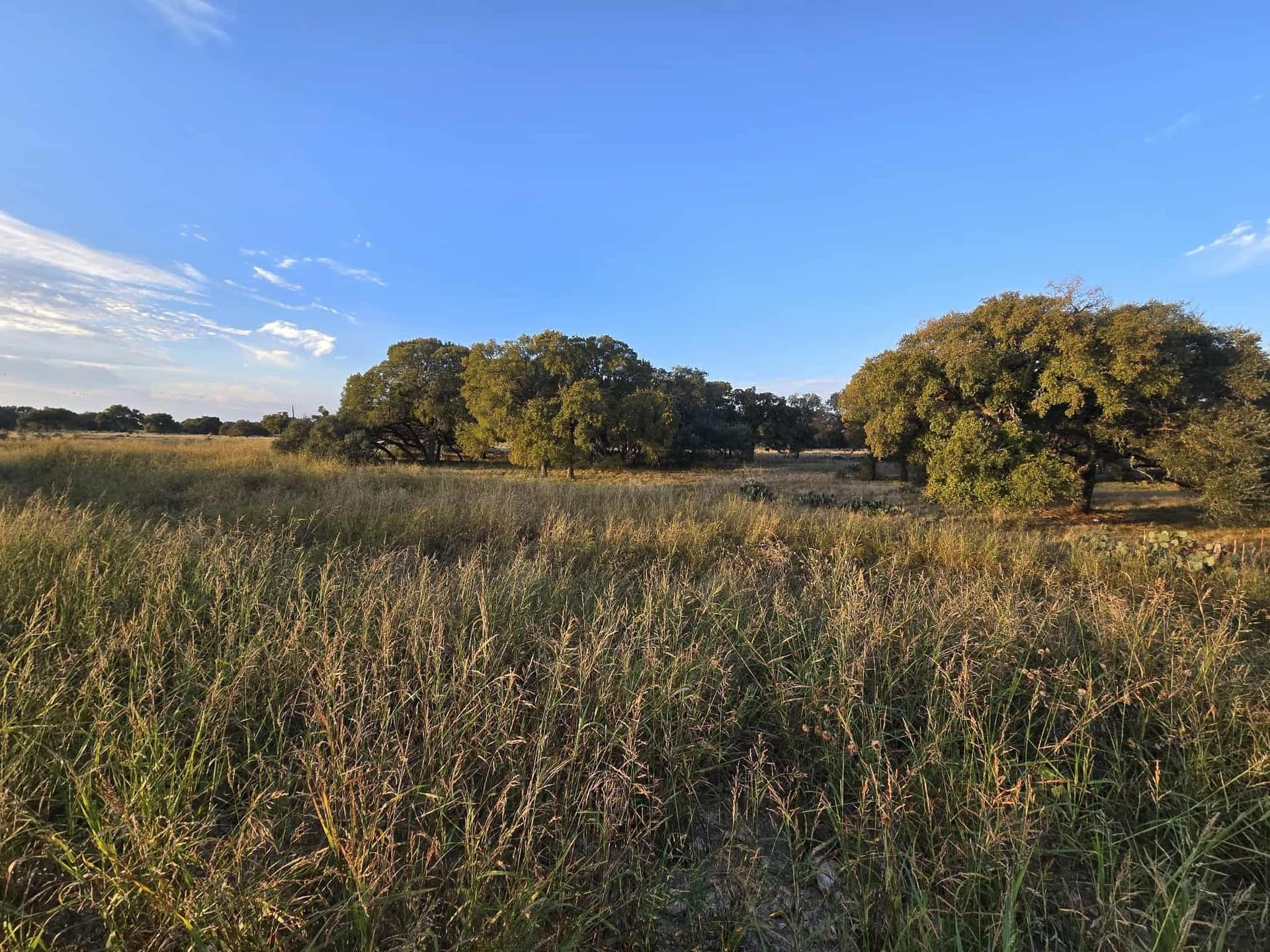 7.38 acres in Coryell County - photo 3