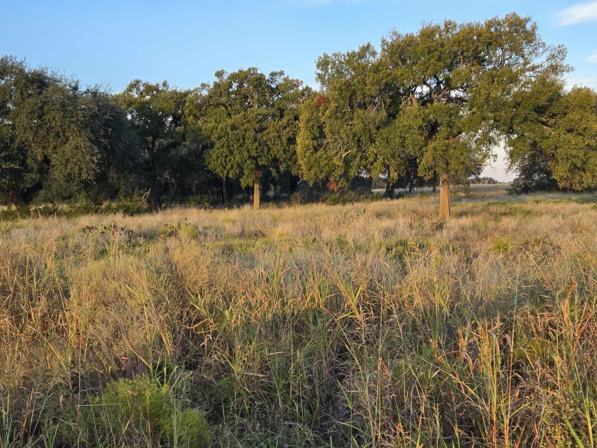 7.38 acres in Coryell County - photo 6