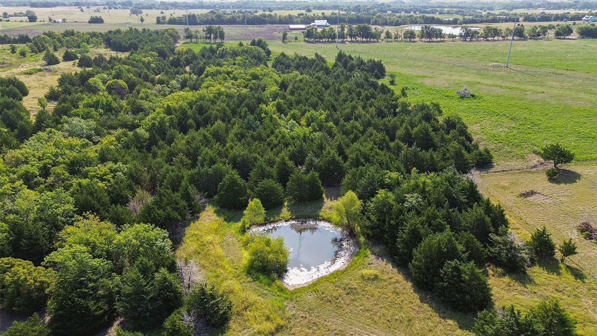 5 acres in Collin County - photo 12