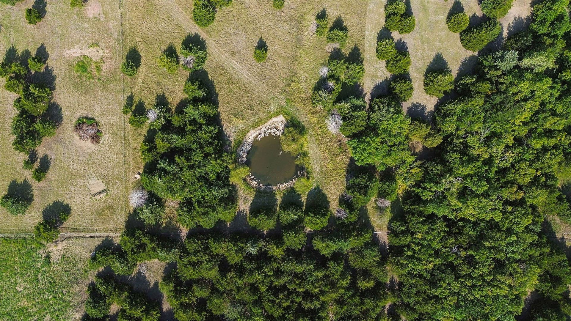 5 acres in Collin County - photo 8