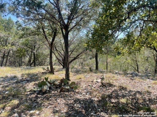 0.46 acres in Bandera County gallery image 2