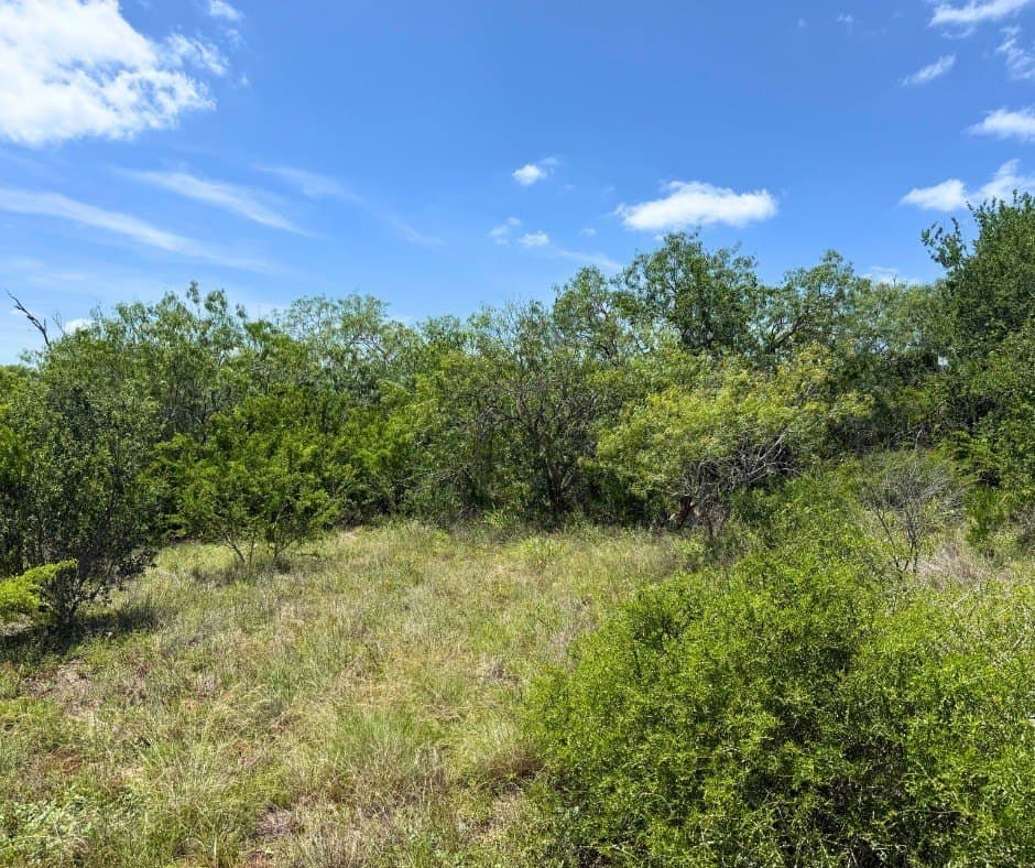 5.32 acres in Bee County