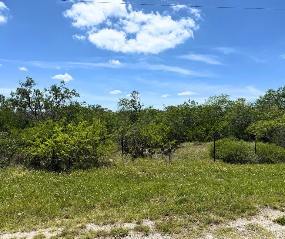 5.32 acres in Bee County gallery image 3