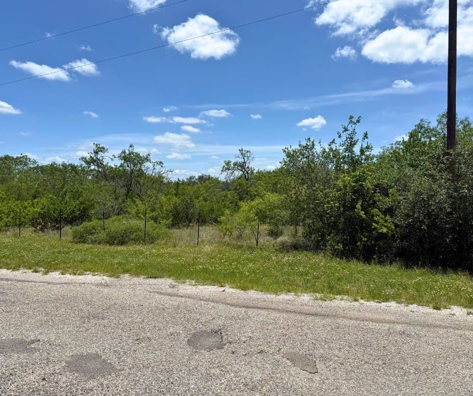 5.32 acres in Bee County gallery image 4