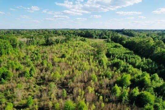 98.33 acres in Texas County featured view