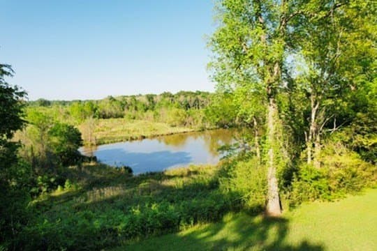 98.33 acres in Texas County gallery image 3