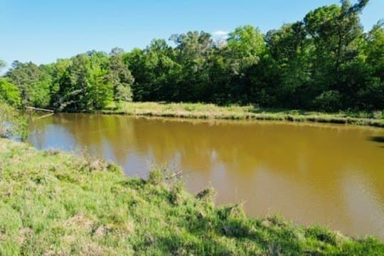 98.33 acres in Texas County gallery image 4