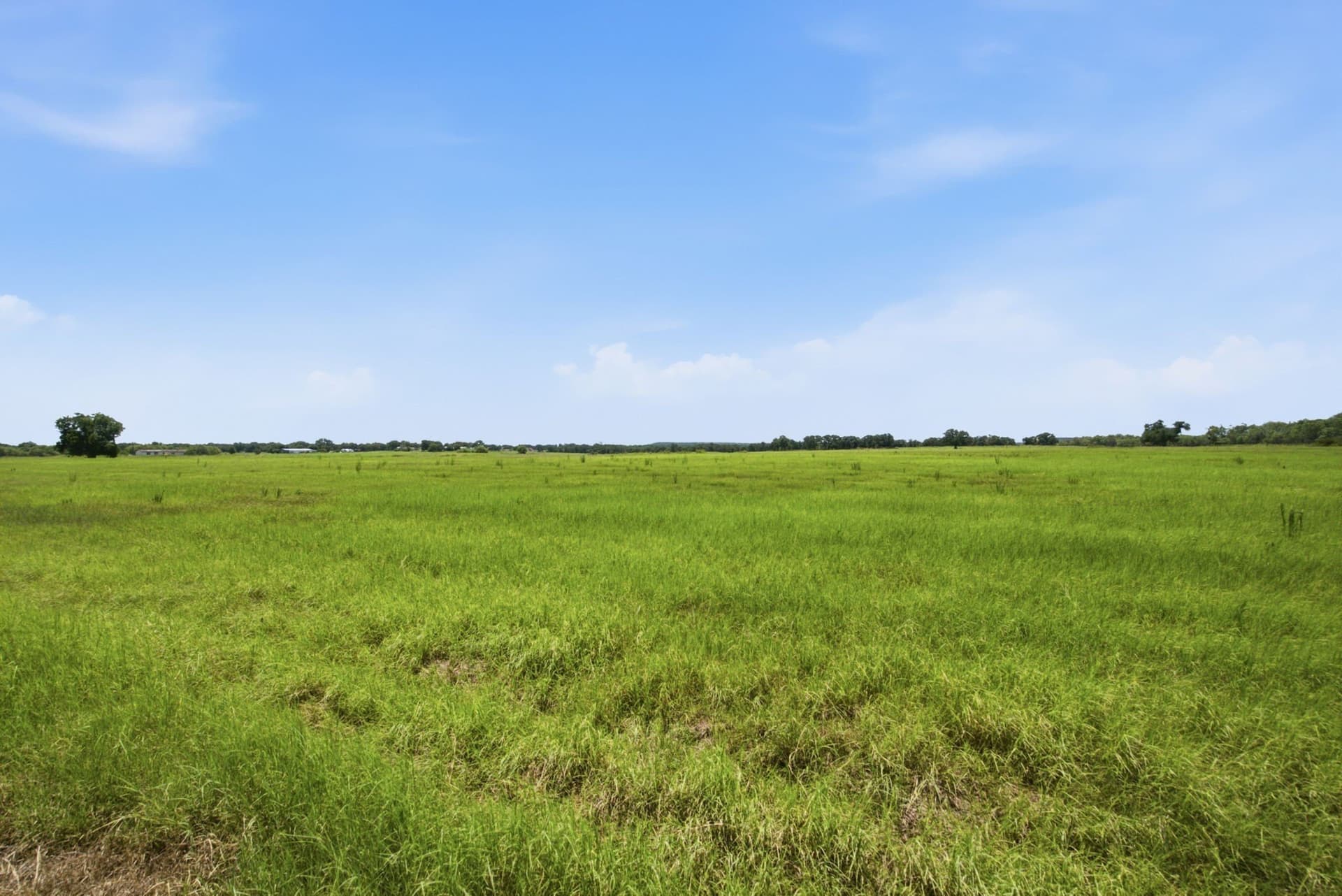40 acres in Palo Pinto County
