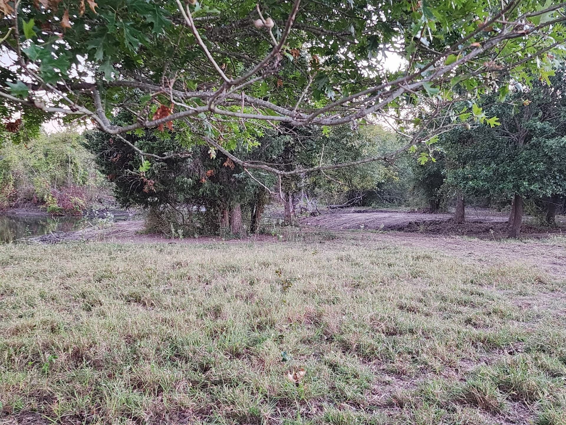 60.63 acres in Fannin County - photo 18