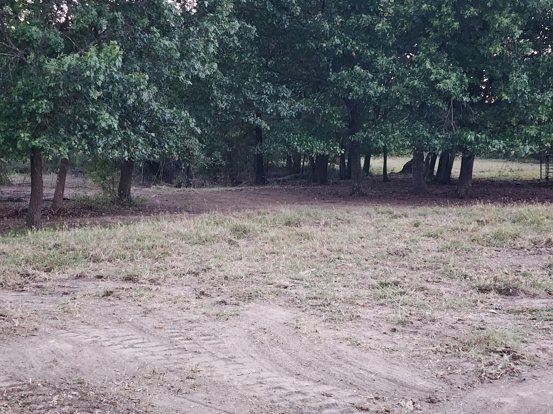60.63 acres in Fannin County - photo 9