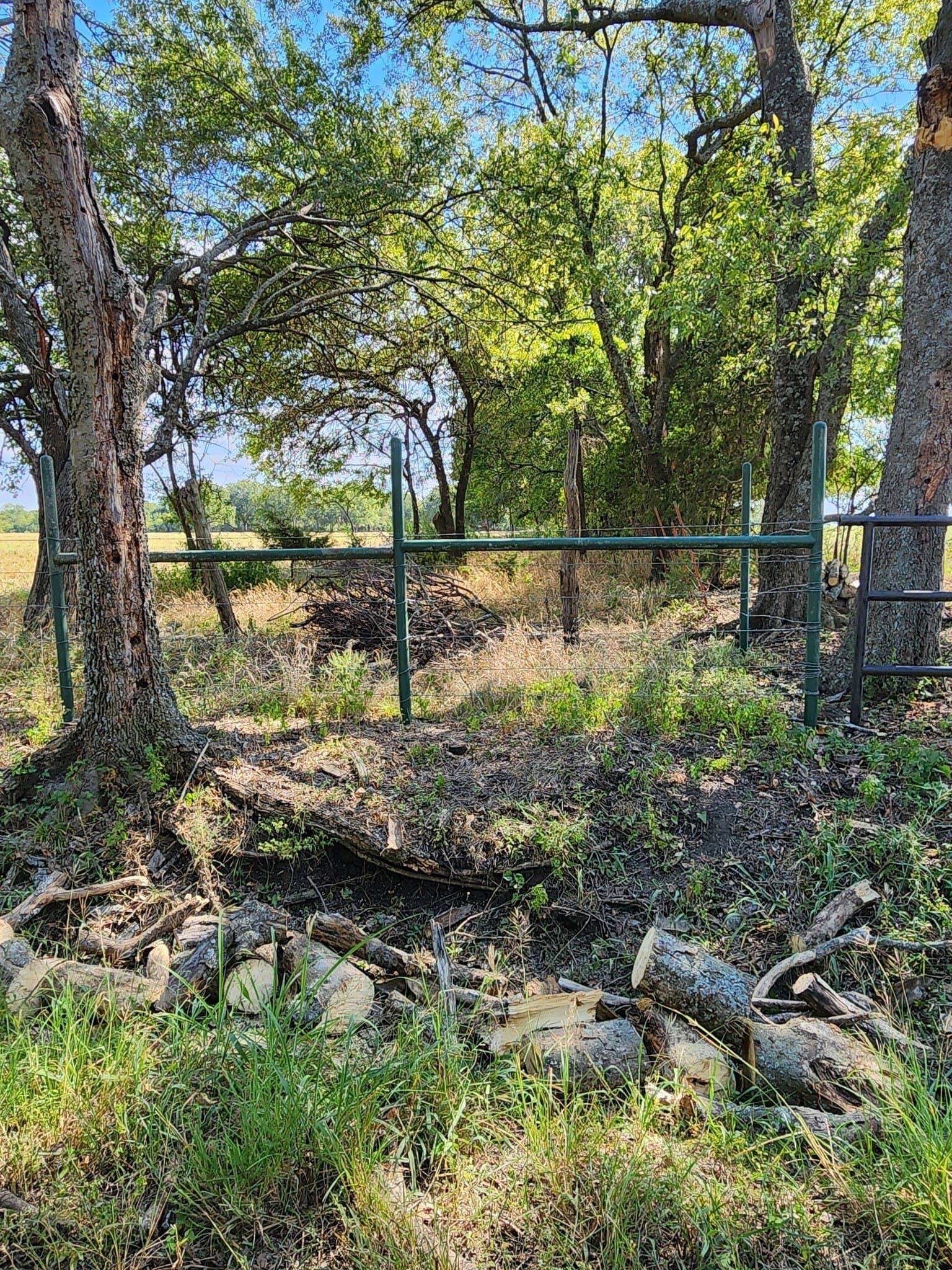 60.63 acres in Fannin County - photo 17