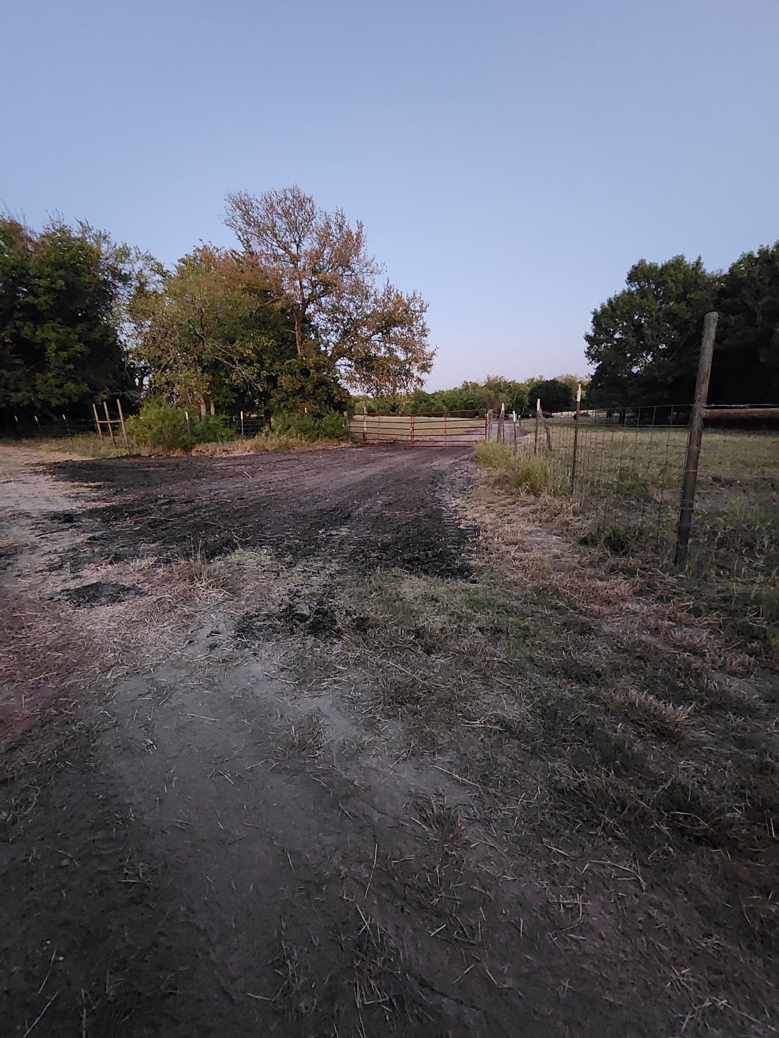 60.63 acres in Fannin County - photo 15