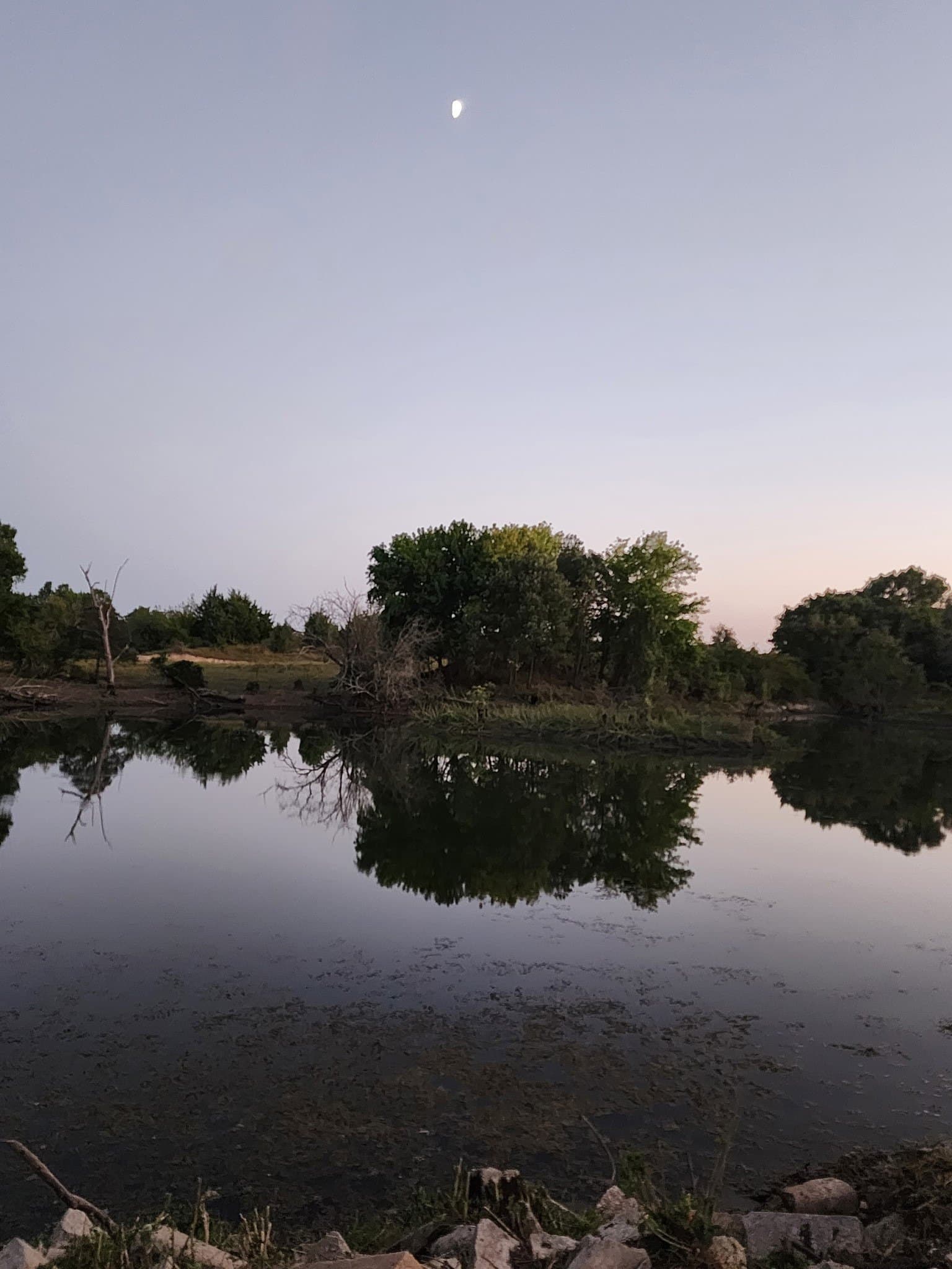 60.63 acres in Fannin County - photo 4
