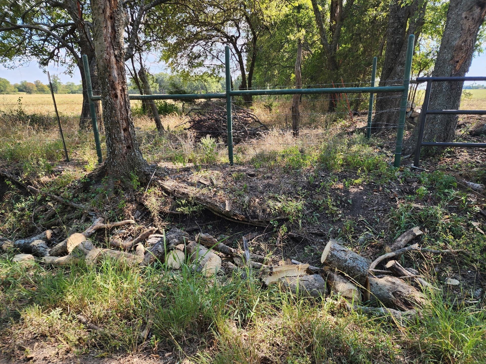 60.63 acres in Fannin County - photo 19