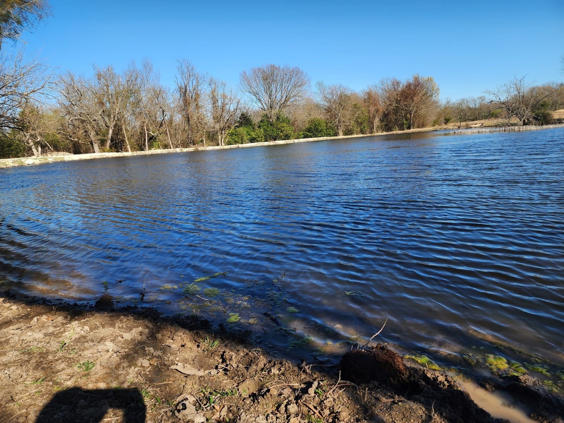 60.63 acres in Fannin County - photo 16