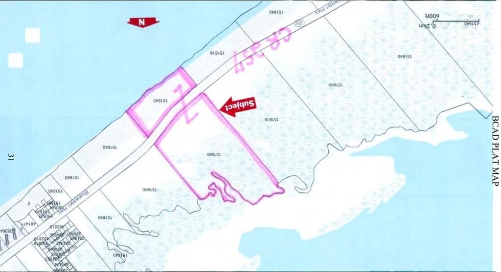 56.6 acres in Brazoria County gallery image 3