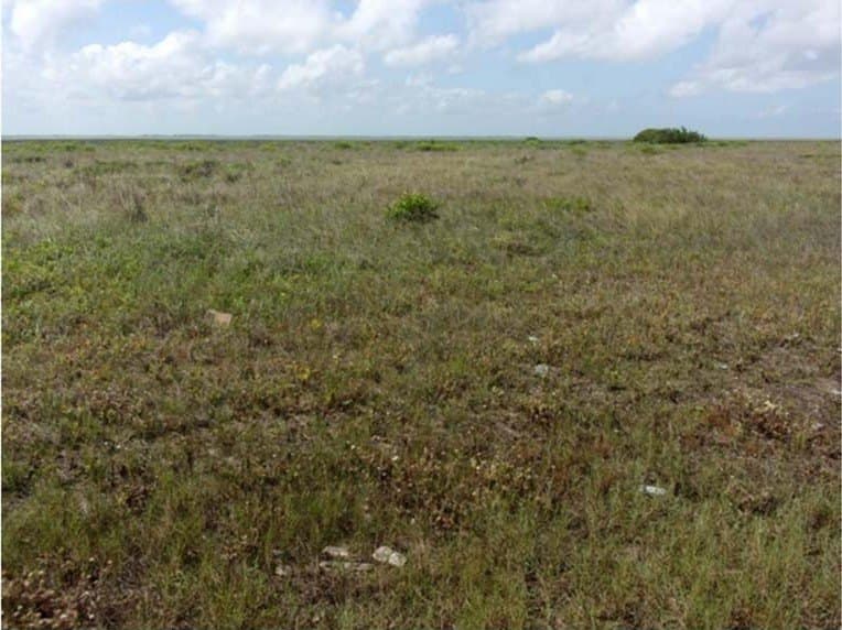 56.6 acres in Brazoria County featured view