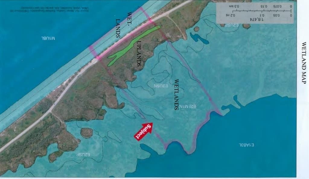 56.6 acres in Brazoria County gallery image 4