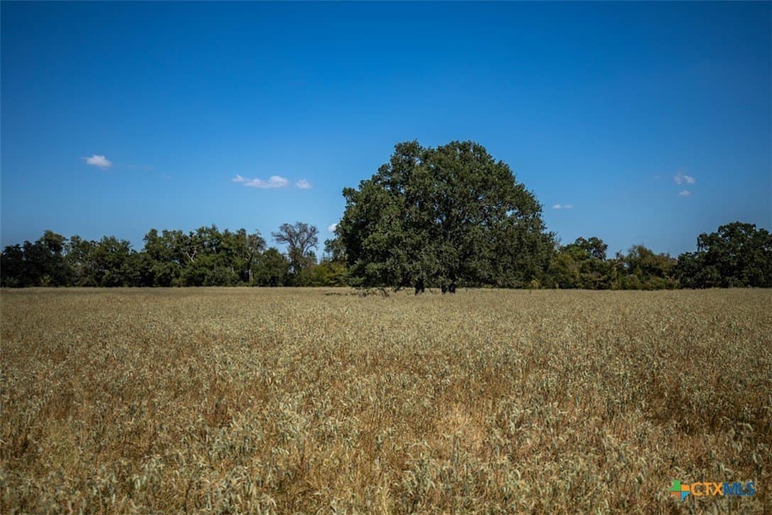 50 acres in Robertson County