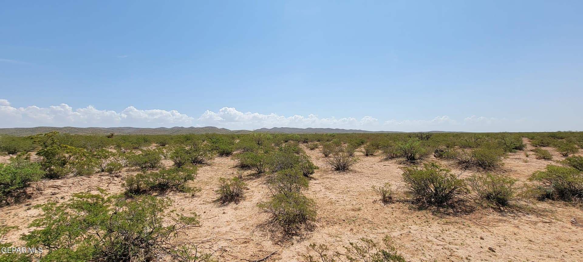 40 acres in Hudspeth County gallery image 3