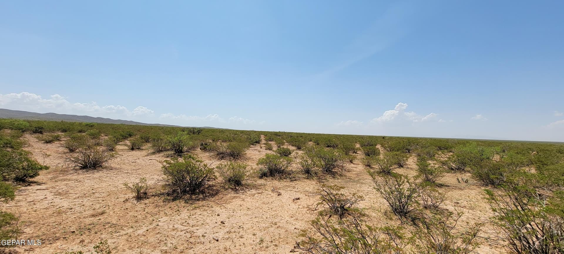 40 acres in Hudspeth County featured view