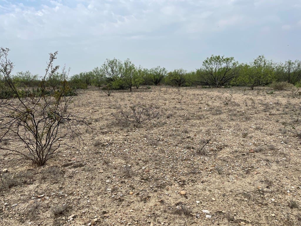 25.14 acres in Maverick County - photo 10