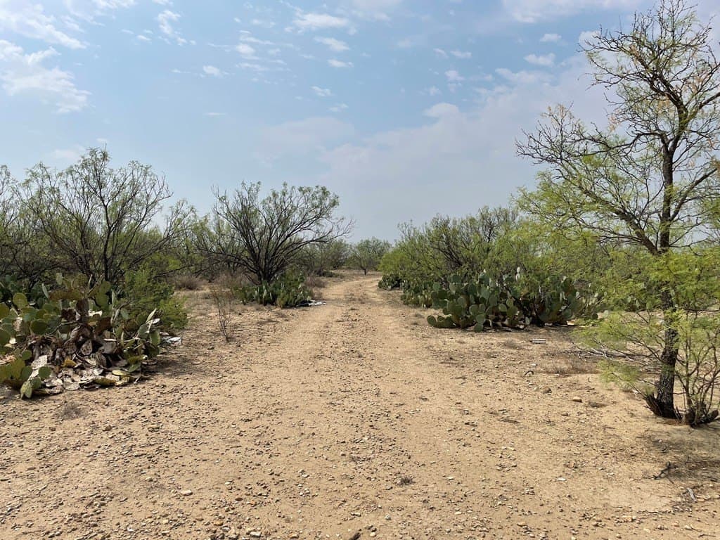 25.14 acres in Maverick County - photo 8