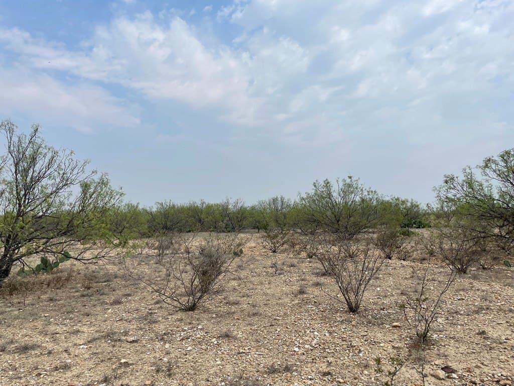25.14 acres in Maverick County - photo 12