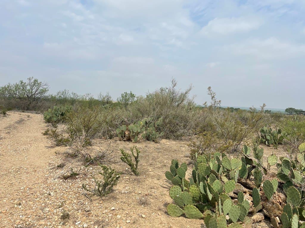 25.14 acres in Maverick County - photo 20