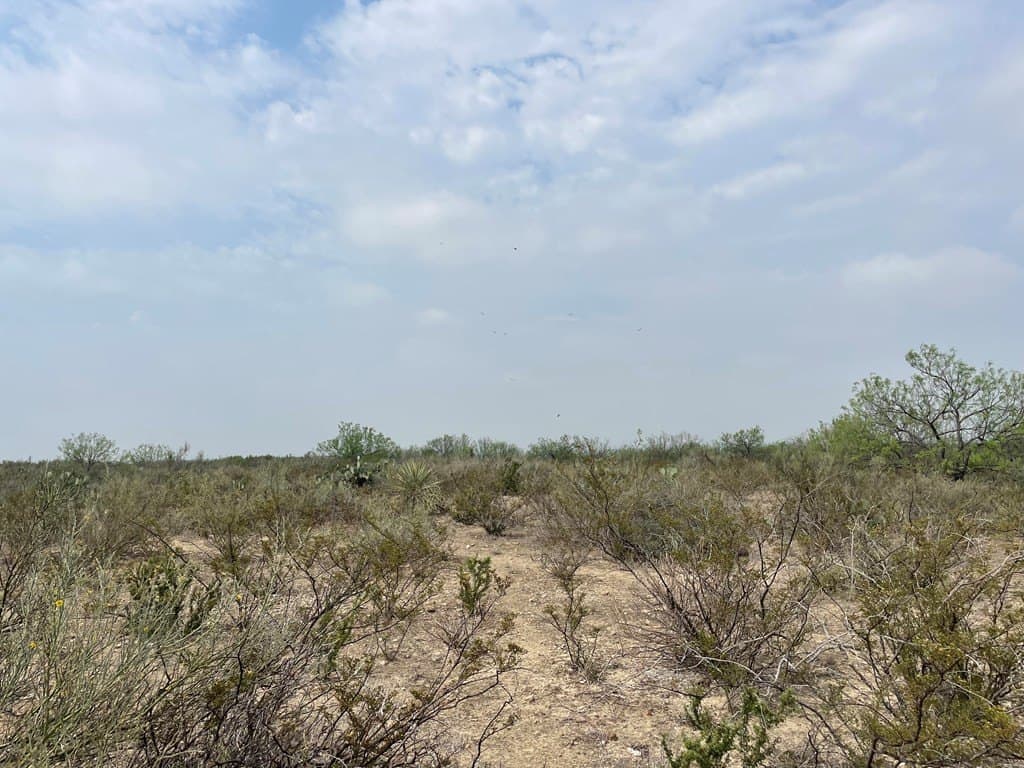 25.14 acres in Maverick County - photo 18