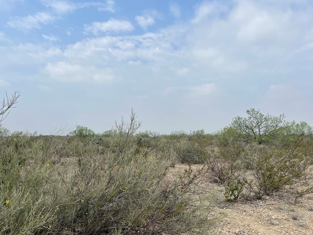 25.14 acres in Maverick County - photo 21