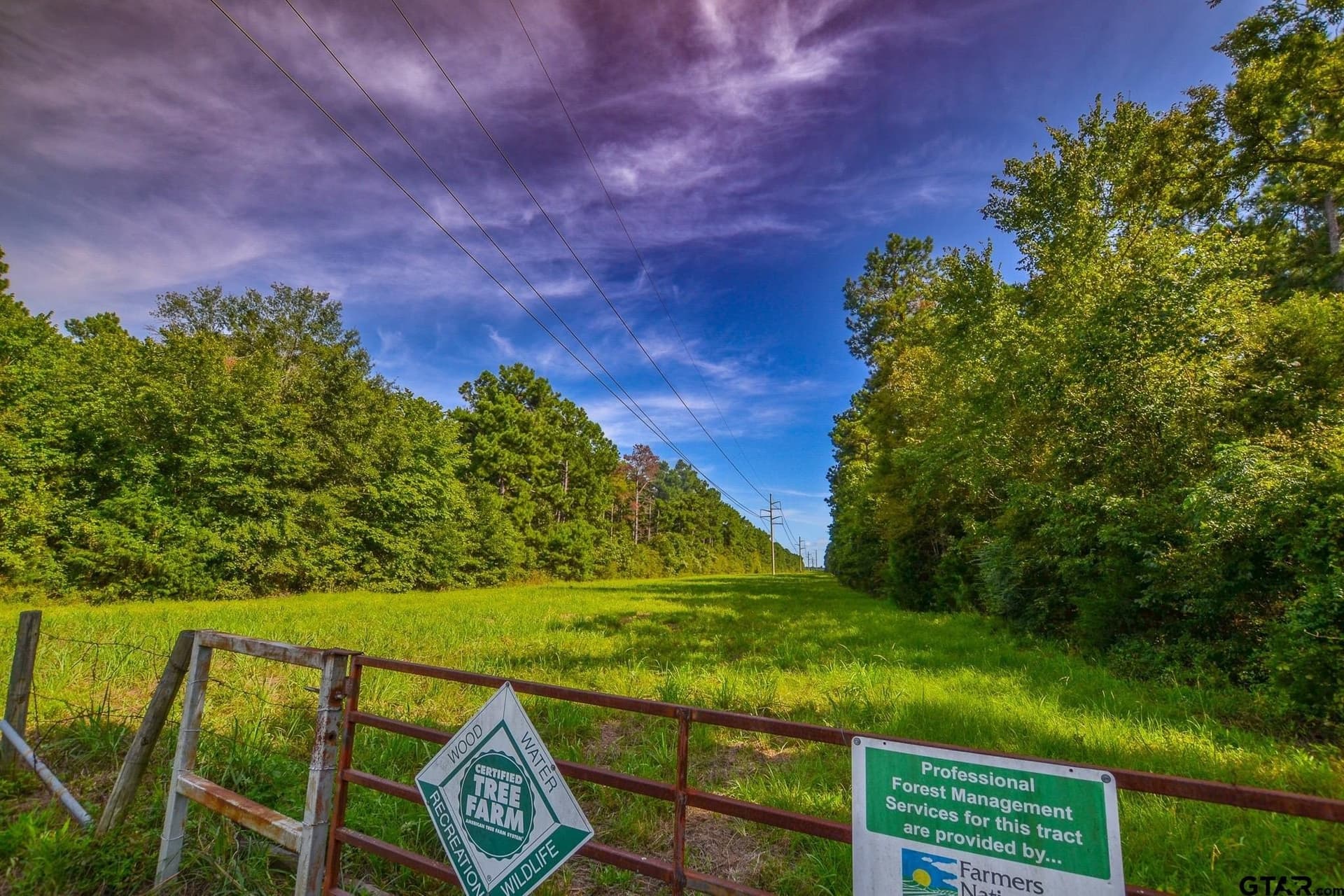 29 acres in Henderson County - photo 5