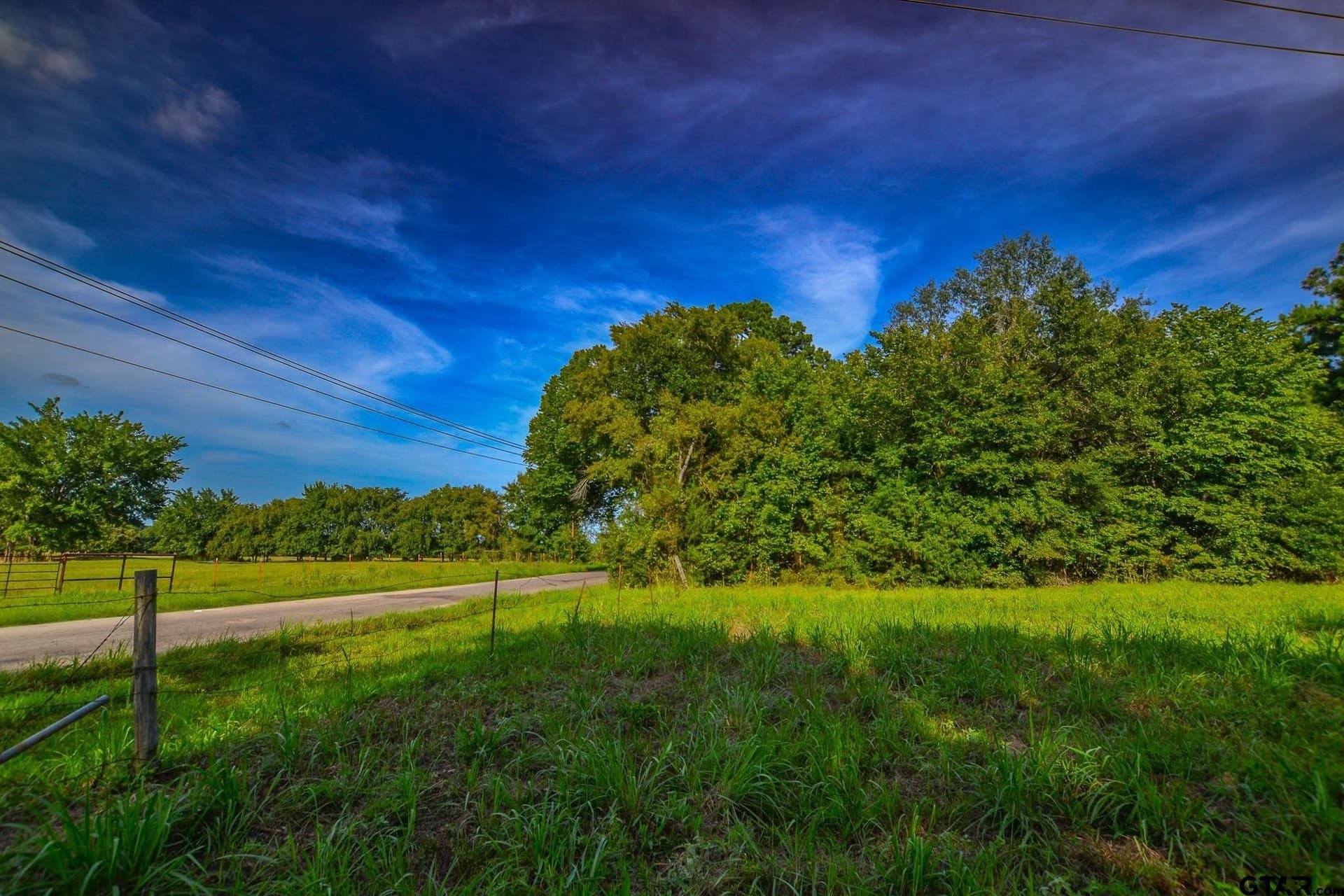 29 acres in Henderson County - photo 8