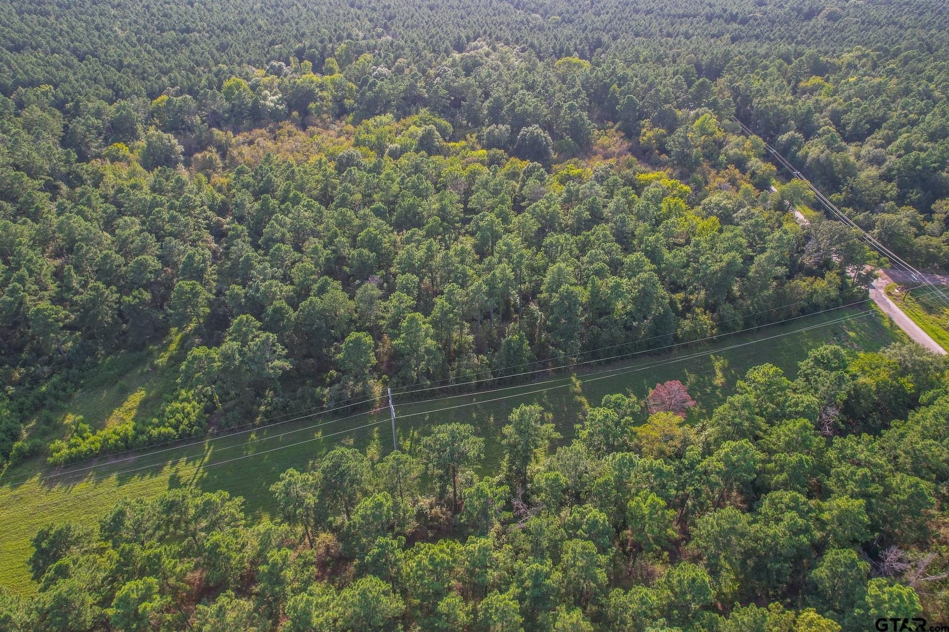 29 acres in Henderson County - photo 12