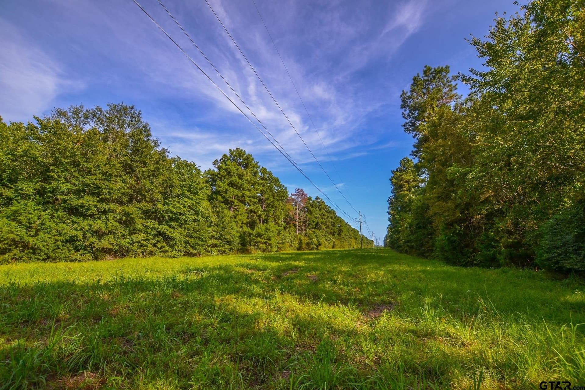 29 acres in Henderson County - photo 9