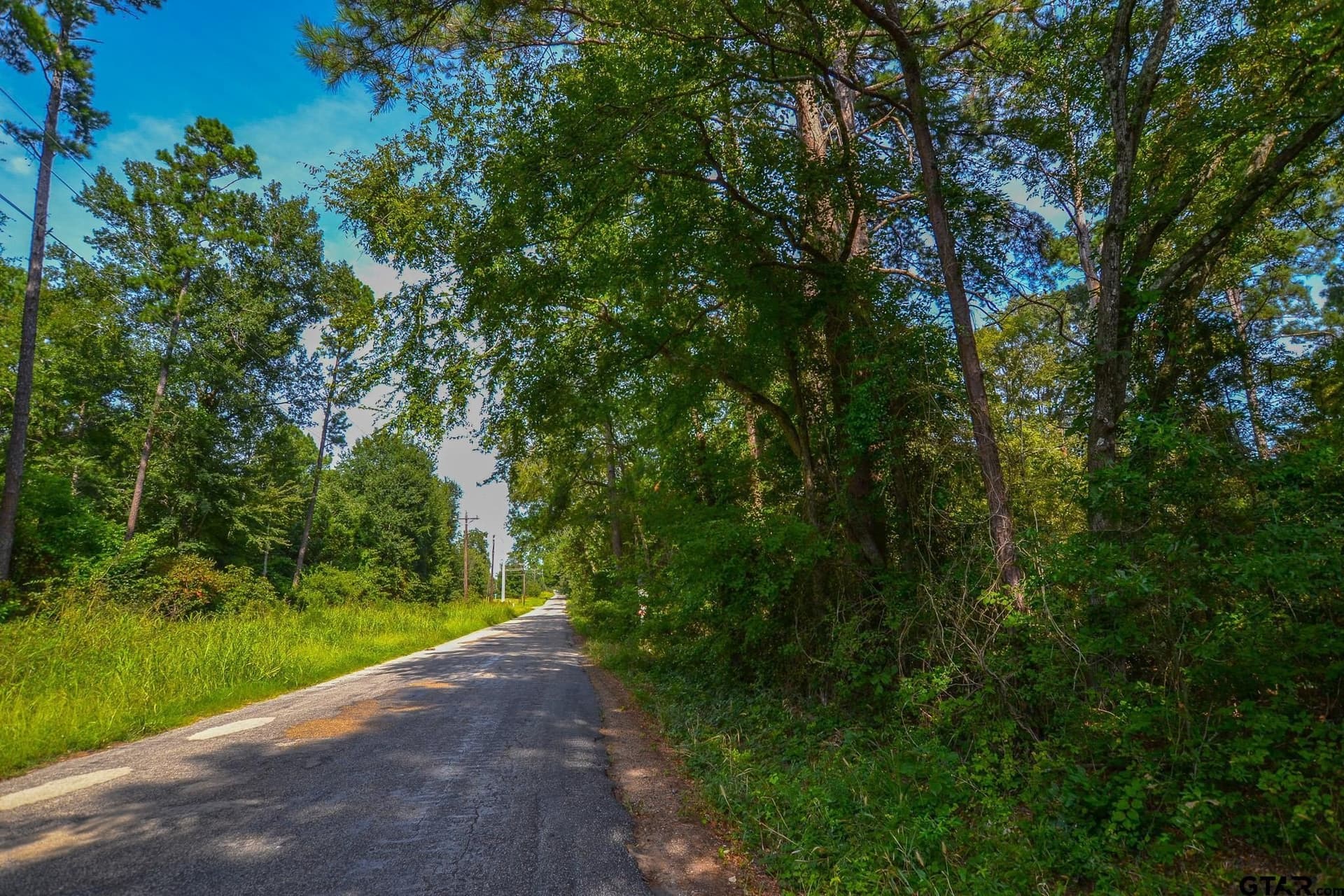 29 acres in Henderson County - photo 4
