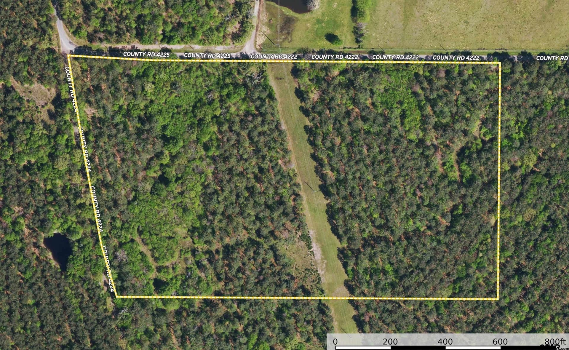 29 acres in Henderson County - photo 14