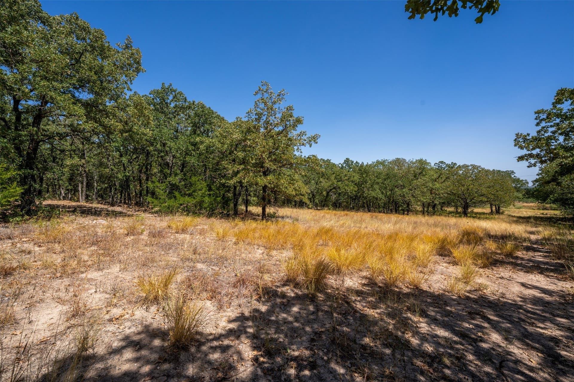 18.55 acres in Wise County - photo 13