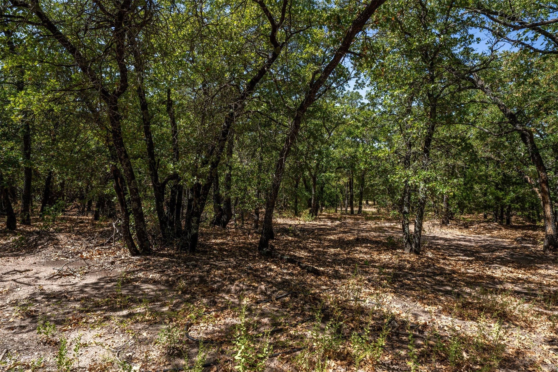 18.55 acres in Wise County - photo 3