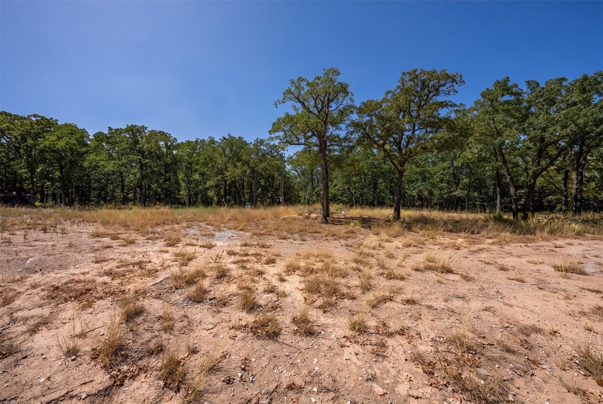 18.55 acres in Wise County - photo 9