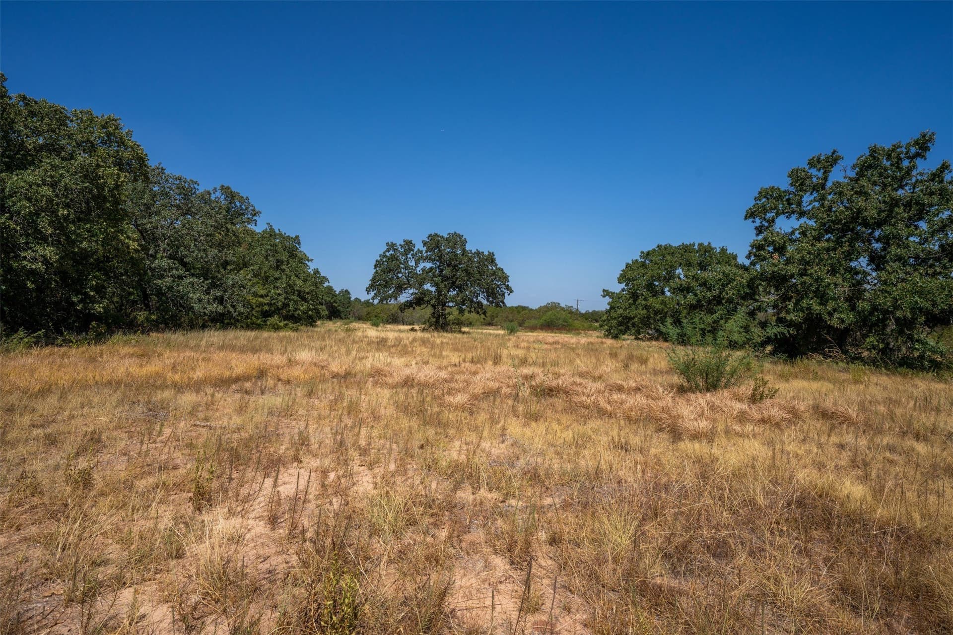 18.55 acres in Wise County - photo 5