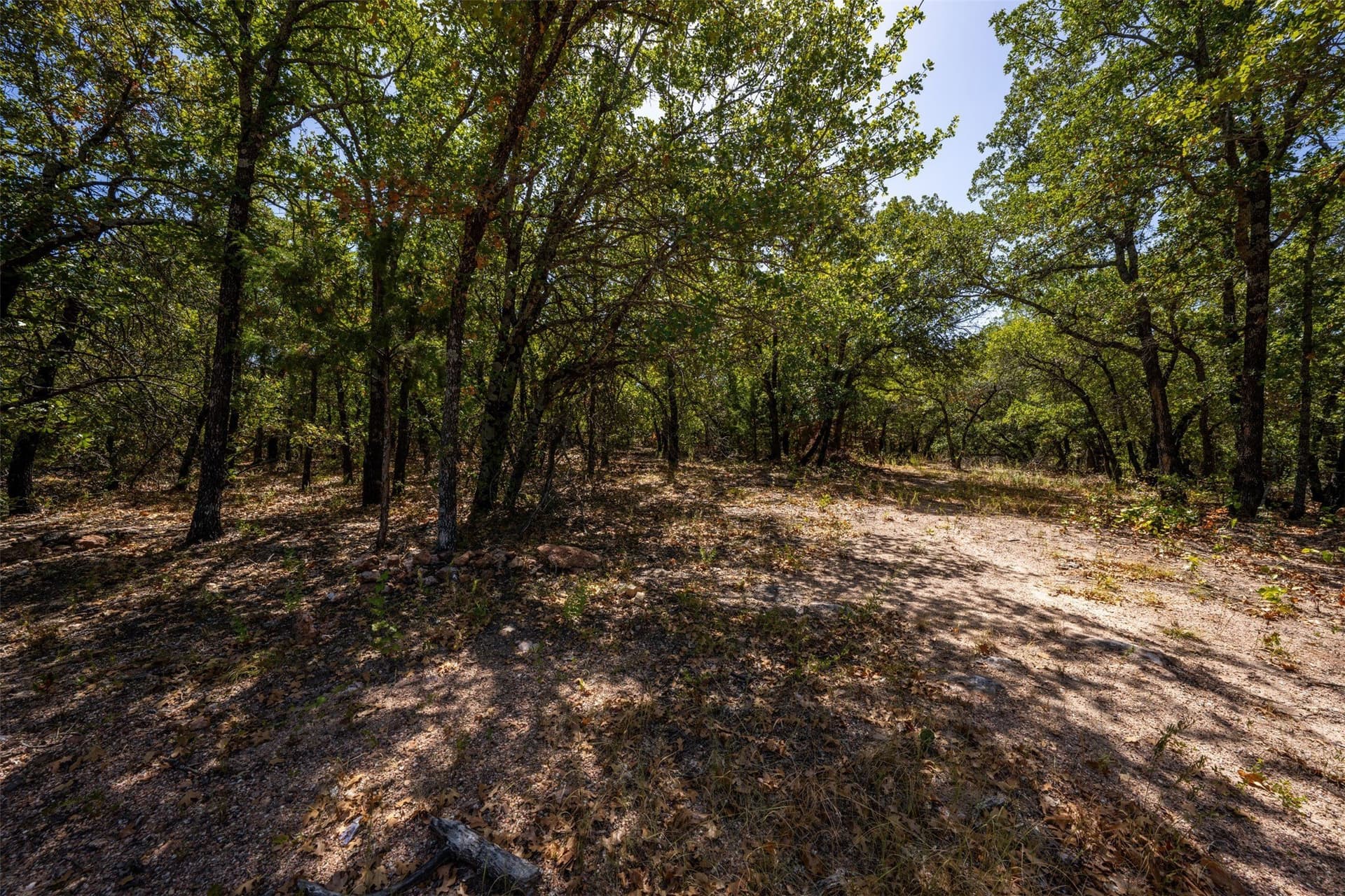 18.55 acres in Wise County - photo 15