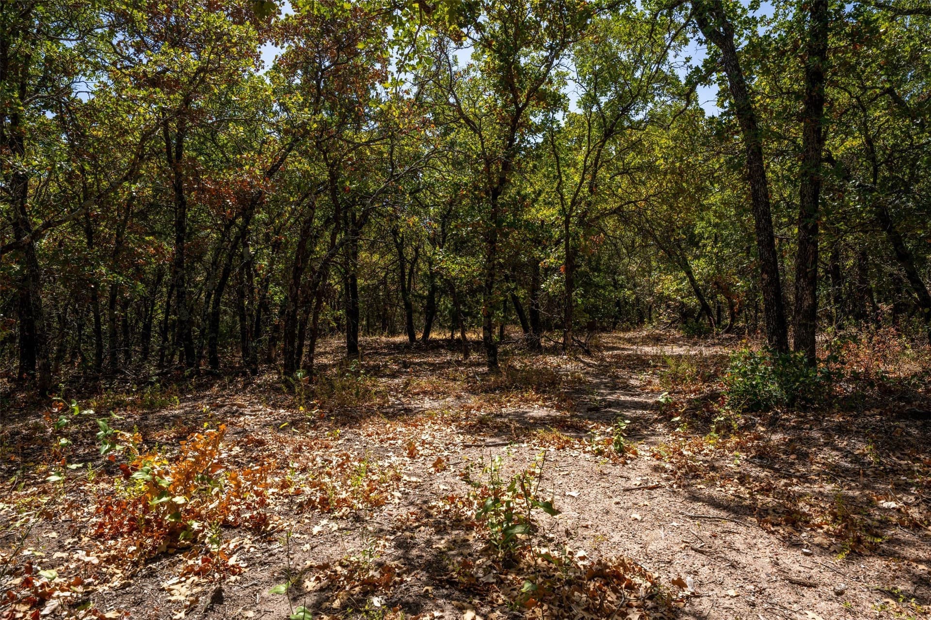 18.55 acres in Wise County - photo 12