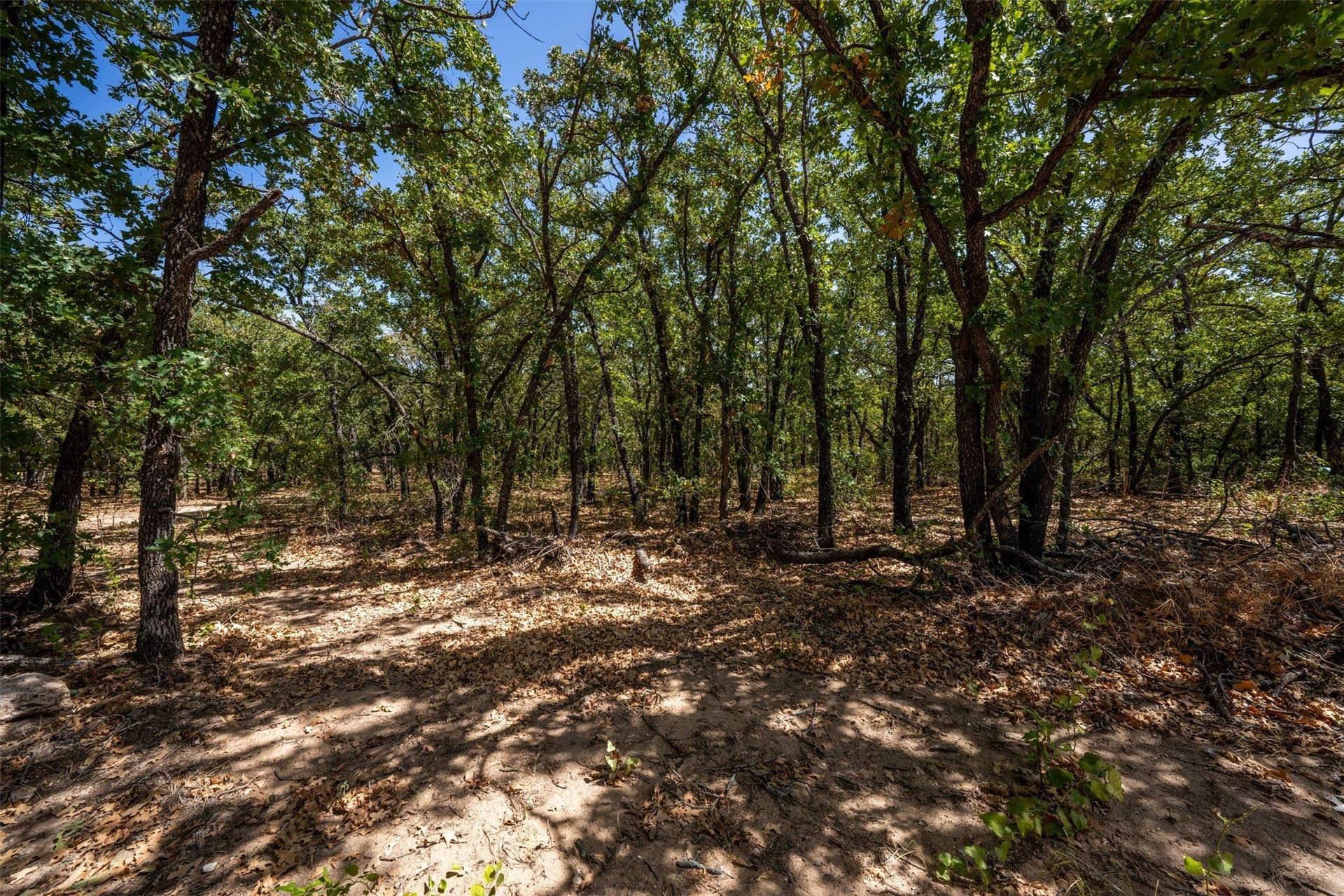 18.55 acres in Wise County - photo 8